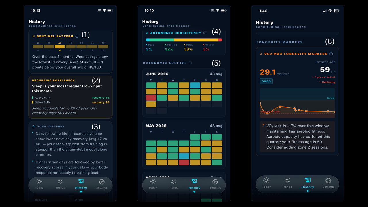 History tab — Sentinel Pattern, Recurring Bottleneck, Your Patterns, monthly heatmap, VO2 Longevity timeline
